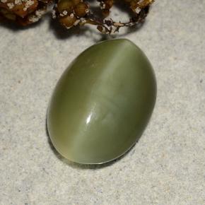 4.69カラットの天然グリーンActinolite Cat's Eye（13.6×9.7 mm・オーバルカット）