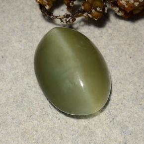 4.69カラットの天然グリーンActinolite Cat's Eye（13.6×9.7 mm・オーバルカット）