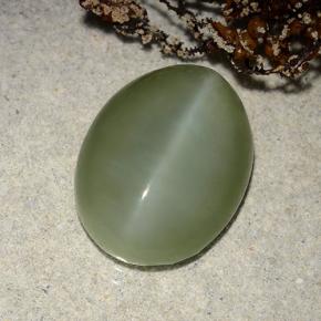8.86カラットの天然グリーンActinolite Cat's Eye（16.4×12.4 mm・オーバルカット）