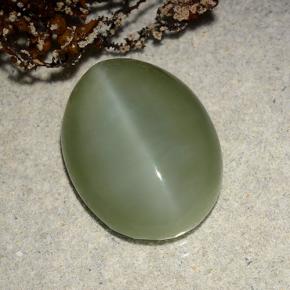 8.86カラットの天然グリーンActinolite Cat's Eye（16.4×12.4 mm・オーバルカット）
