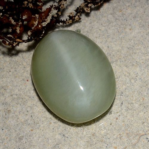 5.43ct 天然 茶色がかったグリーン アクチノライト キャッツアイ, 楕円形, 半透明