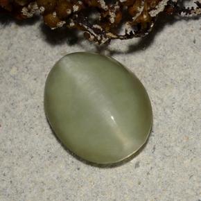2.40カラットの天然グリーンActinolite Cat's Eye（10.4×8.2 mm・オーバルカット）