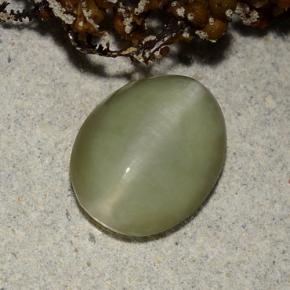 2.40カラットの天然グリーンActinolite Cat's Eye（10.4×8.2 mm・オーバルカット）