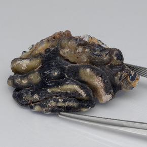 61.00カラットの天然マルチカラー瑪瑙ジオード、ファンシーシェイプ、オペーク