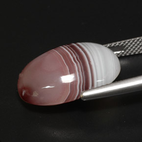 13.03カラットの天然マルチカラーアゲート（18.7×13.4 mm・オーバルカット）