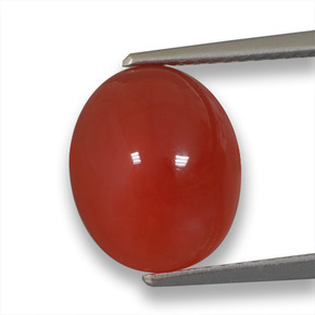 4.64カラットの天然オレンジアゲート（11.5×9.6 mm・オーバルカット）