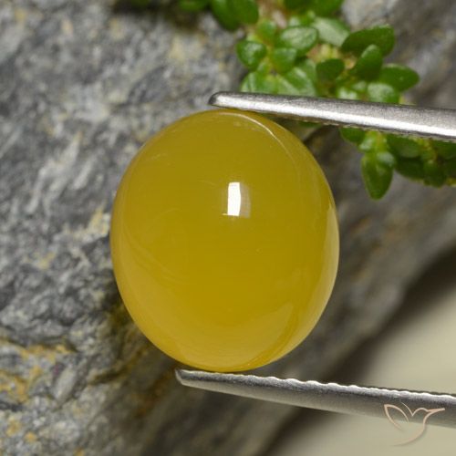 4.42ct 天然 深い黄色 瑪瑙, 楕円形, 半透明