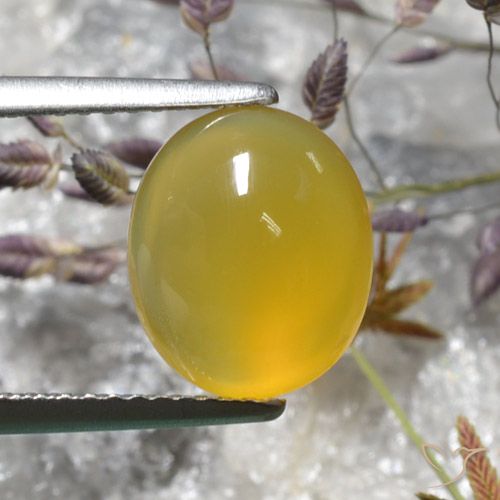 3.05ct 天然 深い黄色 瑪瑙, 楕円形, 半透明