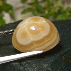 14.86カラットの天然マルチカラー瑪瑙、オーバルカット、オペーク