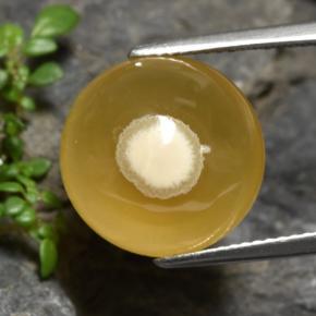 11.93カラットの天然マルチカラーアゲート（14.2×14 mm・オーバルカット）