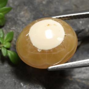 13.60カラットの天然マルチカラー瑪瑙、オーバルカット、半透明