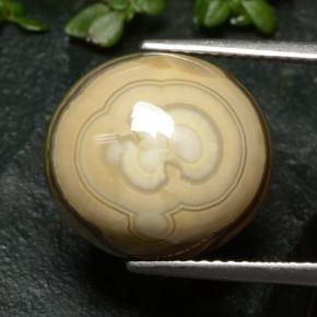 12.04カラットの天然マルチカラー瑪瑙、オーバルカット、オペーク