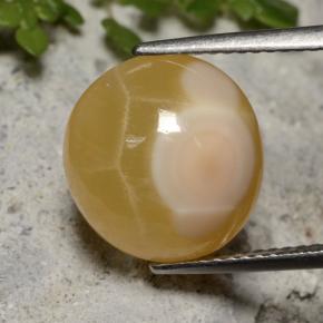 7.59カラットの天然マルチカラーアゲート（12.7×12 mm・オーバルカット）