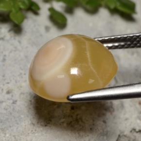 7.59カラットの天然マルチカラーアゲート（12.7×12 mm・オーバルカット）
