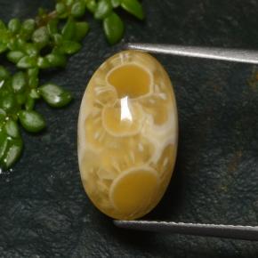 6.57カラットの天然マルチカラーアゲート（15.9×9.6 mm・オーバルカット）