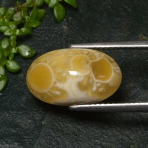 6.57カラットの天然マルチカラーアゲート（15.9×9.6 mm・オーバルカット）