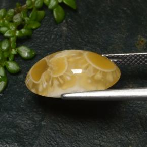 6.57カラットの天然マルチカラーアゲート（15.9×9.6 mm・オーバルカット）