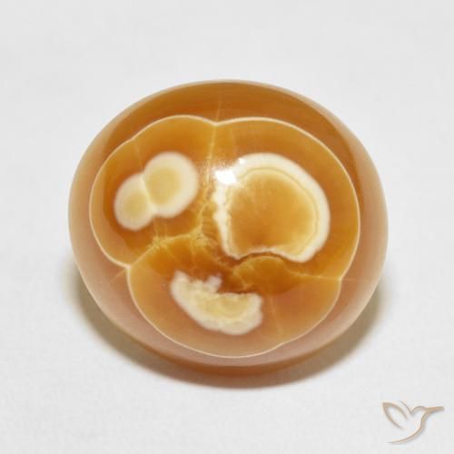 19.53ct 天然 マルチカラー 瑪瑙, 楕円形, オペーク