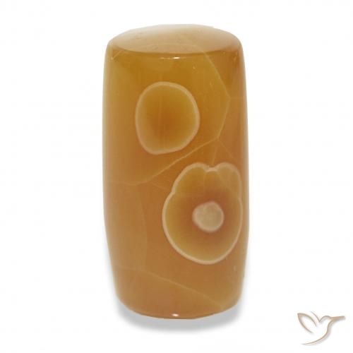 13.53ct マルチカラー 瑪瑙, ファンシー, 半透明