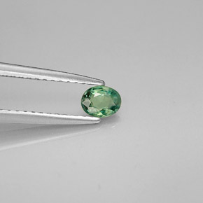 0.26カラットの天然グリーン/レッドアレキサンドライト（4.4×3.4 mm・オーバルカット）