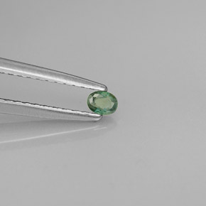 0.08カラットの天然グリーン/レッドアレキサンドライト（2.9×2.2 mm・オーバルカット）