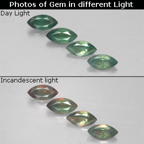 自然派の商品を探す ct グリーン/レッド アレキサンドライト 宝石, マーキーズ, タンザニア からGemSelectで. 在庫あり、世界各国へ発送!