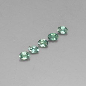 自然派の商品を探す ct グリーン/レッド アレキサンドライト 宝石, オーバルカット, タンザニア からGemSelectで. 在庫あり、世界各国へ発送!