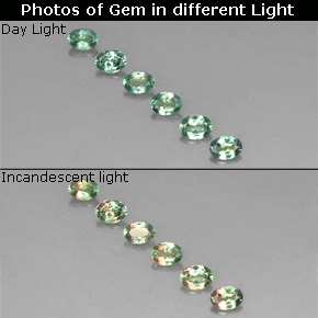 自然派の商品を探す ct グリーン/レッド アレキサンドライト 宝石, オーバルカット, タンザニア からGemSelectで. 在庫あり、世界各国へ発送!