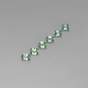 自然派の商品を探す ct グリーン/レッド アレキサンドライト 宝石, オーバルカット, タンザニア からGemSelectで. 在庫あり、世界各国へ発送!