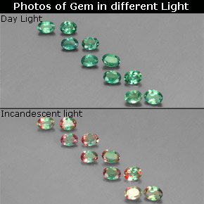 自然派の商品を探す ct グリーン/レッド アレキサンドライト 宝石, オーバルカット, タンザニア からGemSelectで. 在庫あり、世界各国へ発送!