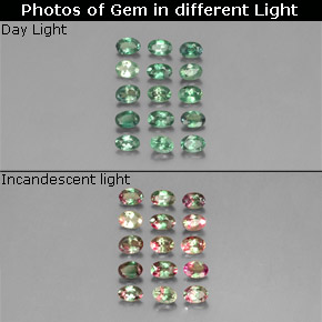 カラットの天然グリーン/レッドアレキサンドライト（3.5×2.6 mm・オーバルカット）