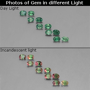 自然派の商品を探す ct グリーン/レッド アレキサンドライト 宝石, オーバルカット, タンザニア からGemSelectで. 在庫あり、世界各国へ発送!