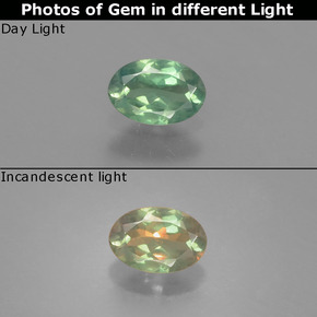 0.46カラットの天然グリーン/レッドアレキサンドライト、オーバルカット、VS