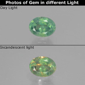 0.51カラットの天然グリーン/レッドアレキサンドライト、オーバルカット、VS