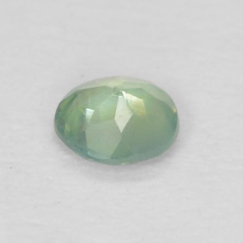 0.06カラットの天然非常に薄いセージグリーンアレキサンドライト（2.44 mm・ラウンドカット）