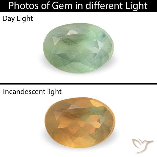 0.12ct 天然 セージグリーン アレキサンドライト, 楕円形, VVS-VS