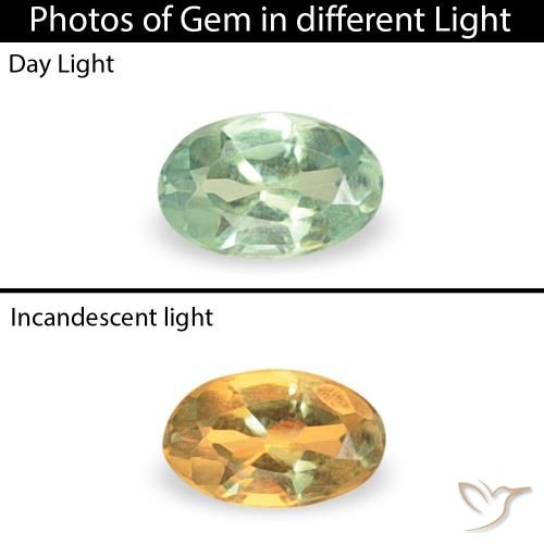 0.06ct 天然 Medium Light-Green アレキサンドライト, 楕円形, VS