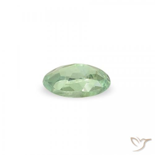 0.06カラットの天然Medium Light-Greenアレキサンドライト、楕円形、VS