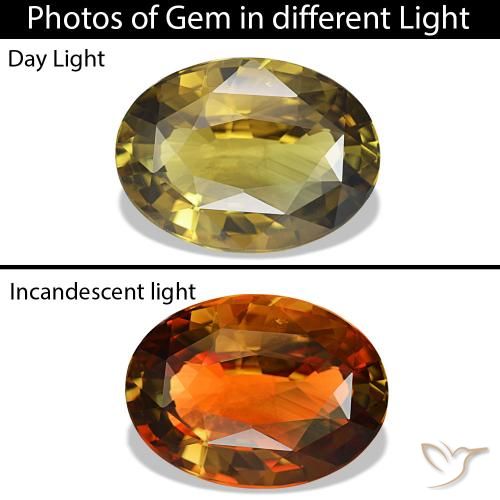 6.83ct イエロー アレキサンドライト, 楕円形, VVS