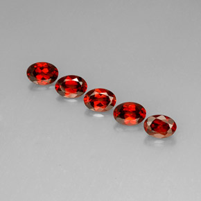 自然派の商品を探す ct レッド アルマンディンガーネット 宝石, オーバルカット, マダガスカル からGemSelectで. 在庫あり、世界各国へ発送!