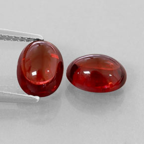 自然派の商品を探す ct ディープレッド アルマンディンガーネット 宝石, 透明, マダガスカル からGemSelectで. 在庫あり、世界各国へ発送!