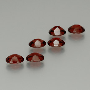 自然派の商品を探す ct ディープレッド アルマンディンガーネット 宝石, オーバルカット, マダガスカル からGemSelectで. 在庫あり、世界各国へ発送!