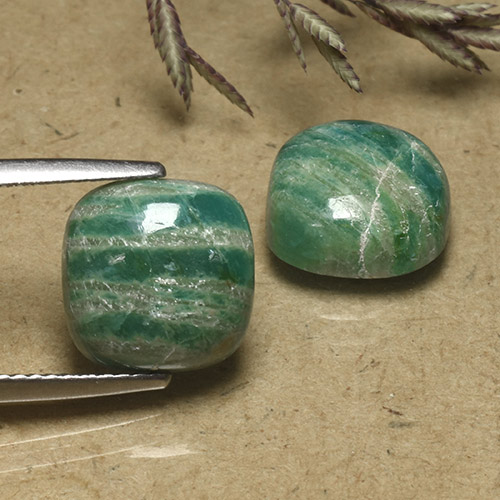 自然派の商品を探す 8.15ct クールグリーン アマゾナイト 宝石, クッションカット, マダガスカル からGemSelectで. 在庫あり、世界各国へ発送!