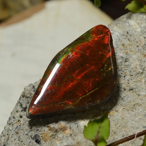 17.03ct 天然 マルチカラー アンモライト, ファンシー, オペーク
