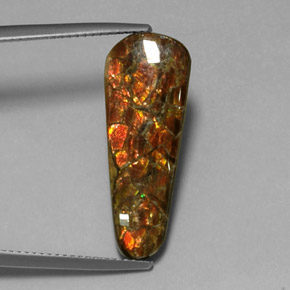 7.59カラットの天然マルチカラーアンモライト、ファンシーシェイプ、オペーク