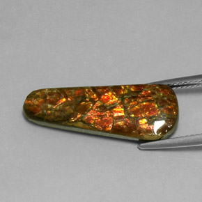 7.59カラットの天然マルチカラーアンモライト、ファンシーシェイプ、オペーク