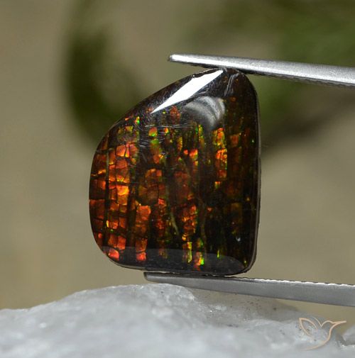 7.67ct 天然 マルチカラー アンモライト, ファンシー, オペーク
