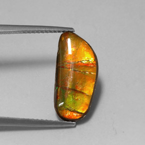 3.60カラットの天然マルチカラーアンモライト（17.3×8.1 mm・ファンシーシェイプ）