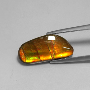 3.60カラットの天然マルチカラーアンモライト（17.3×8.1 mm・ファンシーシェイプ）