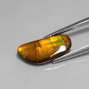 3.60カラットの天然マルチカラーアンモライト（17.3×8.1 mm・ファンシーシェイプ）